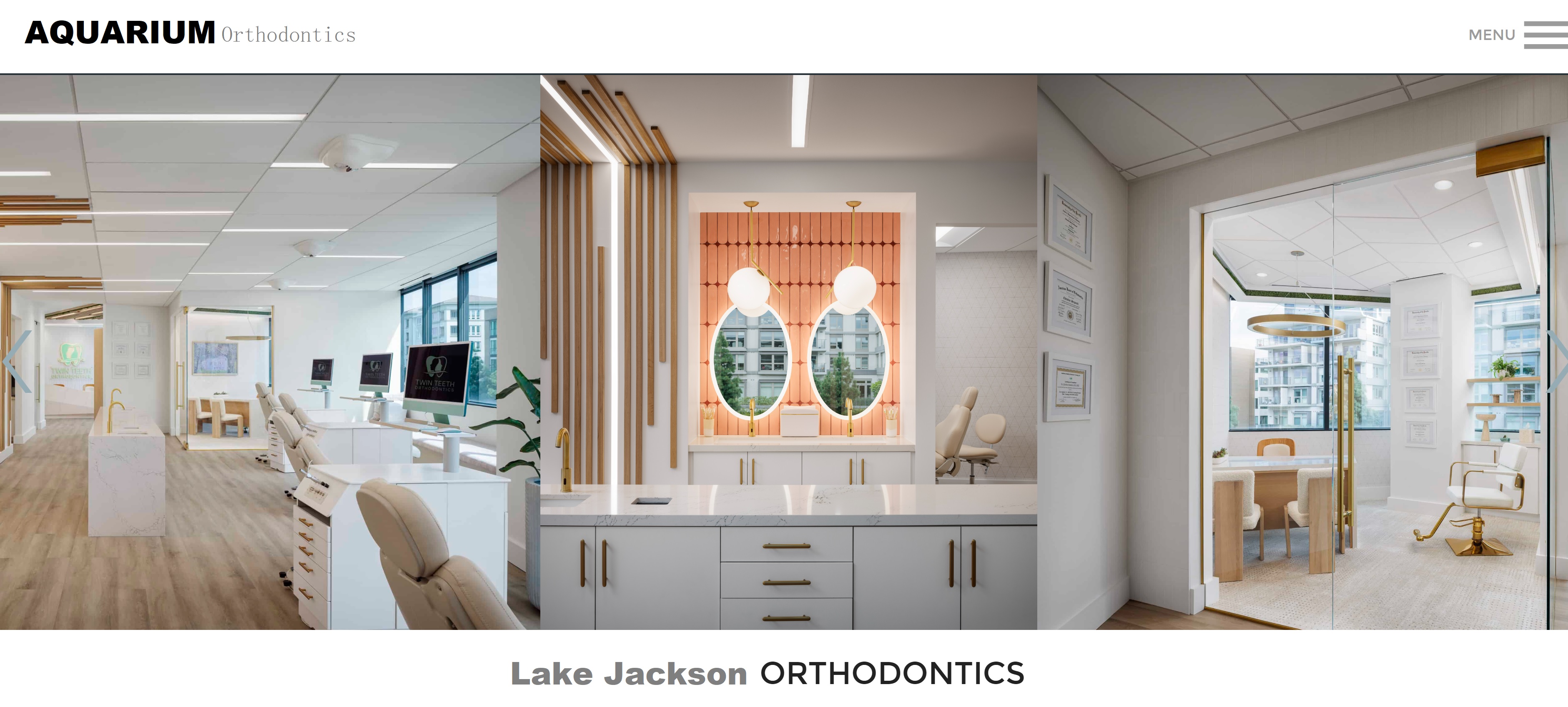 orthodontics Lake Jackson, Tx